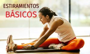 Estiramientos Básicos